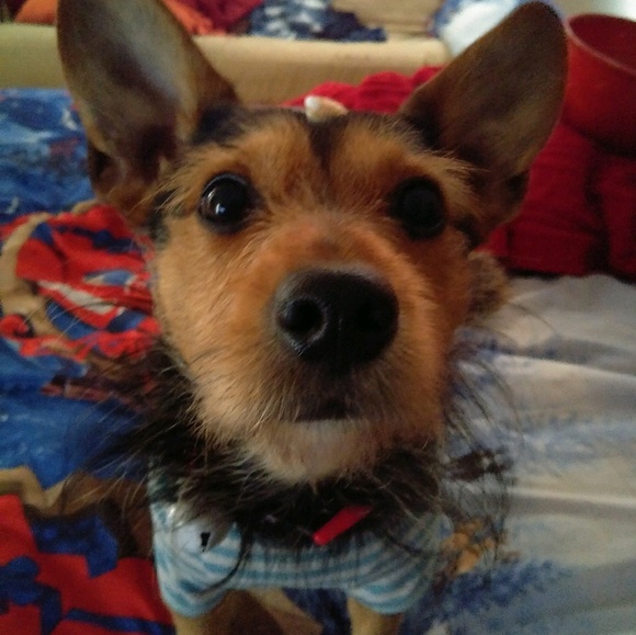 Meet your Posher, Felicia - Picture 1 of 1